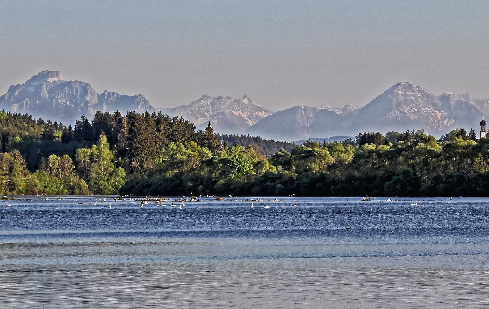 Bachtelsee
